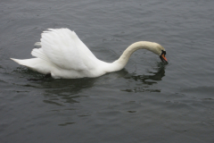 around-margam-park_53658488620_o